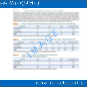 市場と産業調査レポートのイメージ